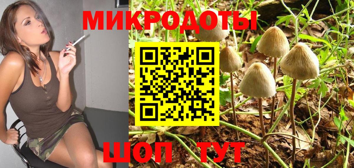Отрадный  Галлюциногенные грибы Magic Shrooms  Вход с VPN 