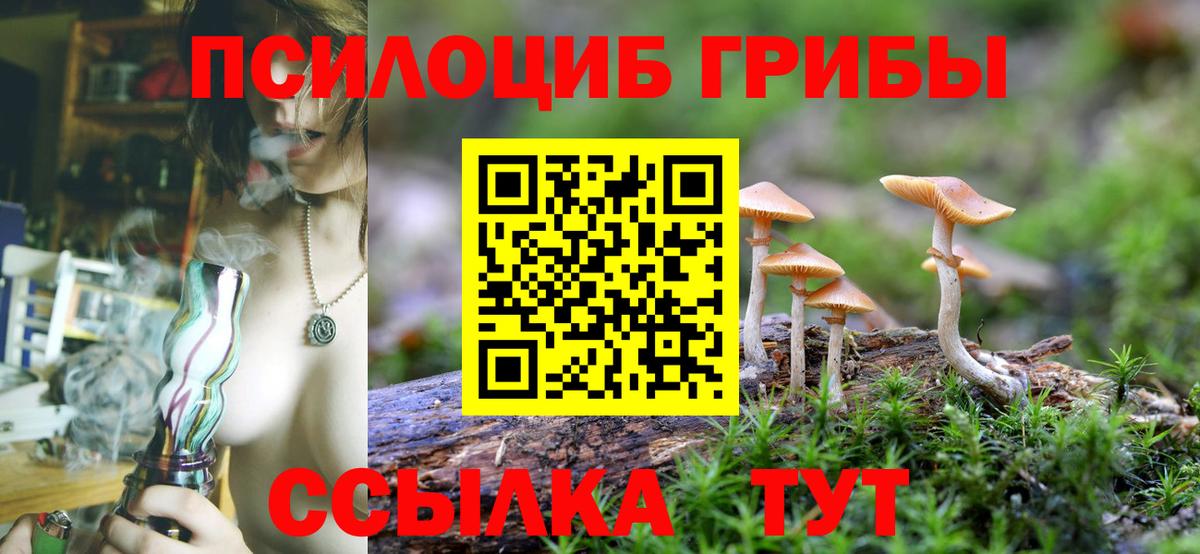 Галлюциногенные грибы Psilocybe Отрадный